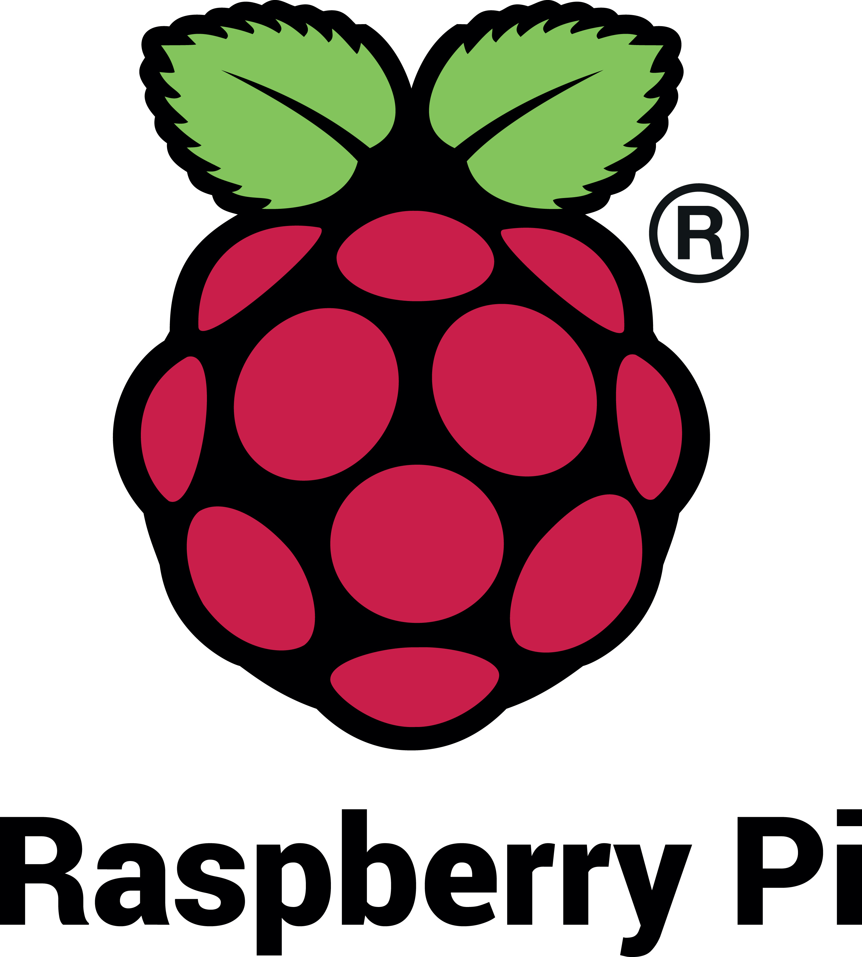 Raspberry Pi logo